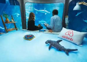 5 Aquariums Worth a Night Out with Sharks