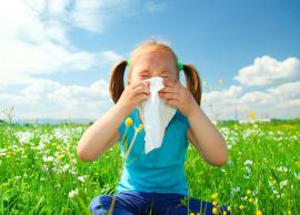 Easy Home Remedies To Help You Treat Seasonal Allergies