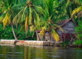 Top 10 Tourist Places in Alappuzha