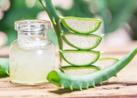 5 Harmful Effects of Eating Too Many Aloe Vera on Your Health