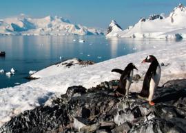5 Weird Rules You Must Know While Traveling To Antarctica