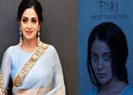 Anushka Sharma Cancels Screening of Pari To Pay Tribute to Sridevi