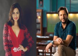 Bigg Boss 11 Contestant Arshi Khan Clarifies Her Controversial Statement About Shahid Afridi