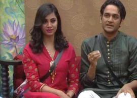 Arshi Khan calls Vikas Gupta looser mind, supports Bigg Boss 12 contestant Sreesanth