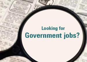 5 Tips To Succeed in Government Job