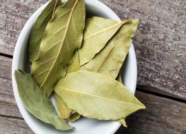 Explore The Amazing Health Benefits of Bay Leaves