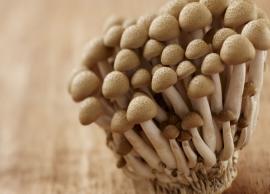 Health Benefits of Consuming Beech Mushroom