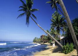 5 Beaches In Sri Lanka For Exotic Vacation
