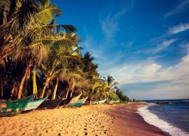 5 Best Spots For Beach Getaway in Sri Lanka