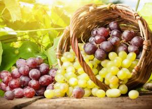 5 Wonders Grapes are Doing to Your Hair and Skin, You Might Be Un-aware of