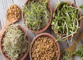5 Health Benefits of Eating Sprouts Regularly