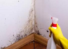 6 Effective Home Remedies To Get Rid of Black Mold From Walls