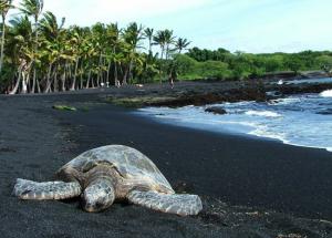 10 Black Sand Beaches That Are Way Too Beautiful