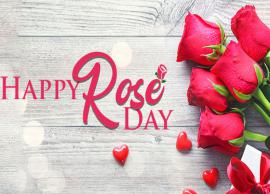 Valentine 2019- 5 Bollywood Songs That Celebrates The Spirit of Rose Day