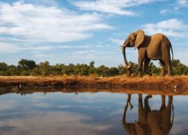 5 Best Places To Visit in Botswana