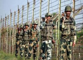 BSF apprehends youth in Ferozepur, recovers mobile with Pakistani SIM