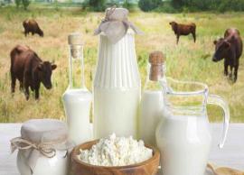 Health Benefits of Switching To Buffalo Milk