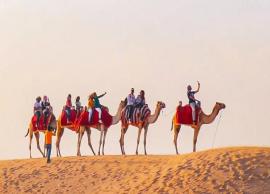 5 Must Visit Camel Safari Destinations in India