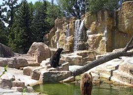 5 Zoos You Can Explore in Canada