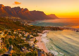7 Things You Can Do in Cape Town