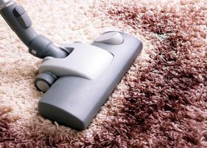 5 Easy Carpet Cleaning Tips