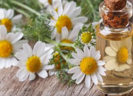 6 Reasons Why Chamomile Oil is Good For Your Skin