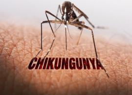 5 Foods That are Healthy During Chikungunya
