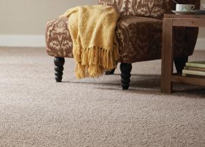 5 Amazing Carpet Cleaners You Might Not Know