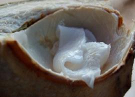 5 Amazing Health Benefits That Coconut Meat Has