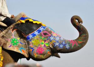 5 Coolest Festivals to Enjoying India