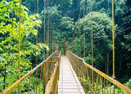 5 Most Popular Attractions To Visit in Coorg