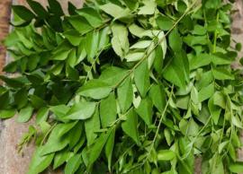 5 Health Benefits of Curry Leaves