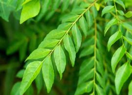 4 Reasons Why Curry Leaves are Beneficial for Your Skin and Hair