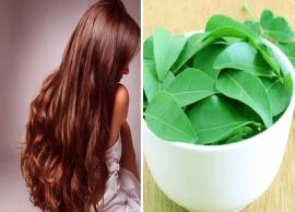 Different Ways To Use Curry Leaves To Promote Hair Growth