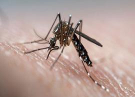 5 Home Remedies To Treat Dengue Fever