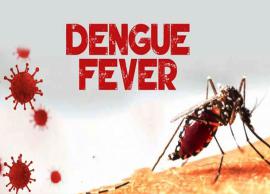 10 Remedies That Are Helpful in Treating Dengue Fever