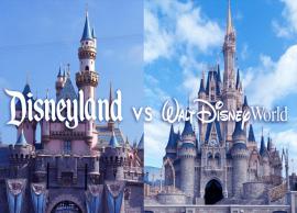 Here is a Guide to Help Understand the Main Differences Between Disneyland and Disney World
