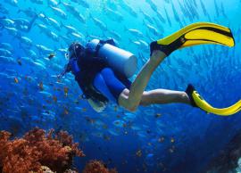 List of 10 of The Best Places in The World To Go Diving