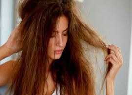 6 Best Remedies To Moisturize Your Dry Hair
