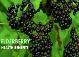 11 Reasons Why Elderberry is Good For Health