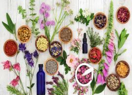 5 Things You Must Be Aware About Essential Oils