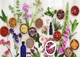 5 Facts and Myths About Essential Oils You Didn't Knew
