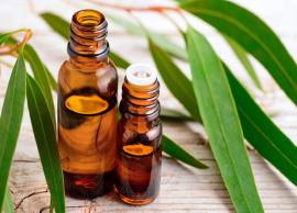 Here are Some Benefits and Uses of Eucalyptus Oil