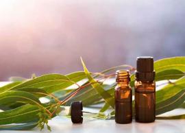 5 Benefits of Using Eucalyptus Oil For Quick Hair Growth