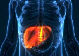 World Liver Day - Causes, Symptoms And Home Remedies To Cure Fatty Liver