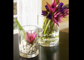 5 Tips To Keep Flowers Fresh For Long