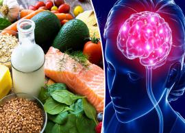 6 Foods You Must Eat To Keep Your Brain Healthy