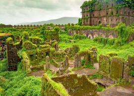 5 Forts You Must Visit in Maharashtra