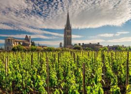 6 Most Popular Wineries To Visit in France