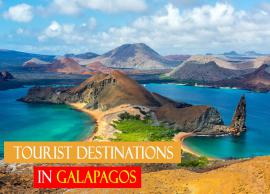 5 Major Tourist Destinations To Explore in Galapagos